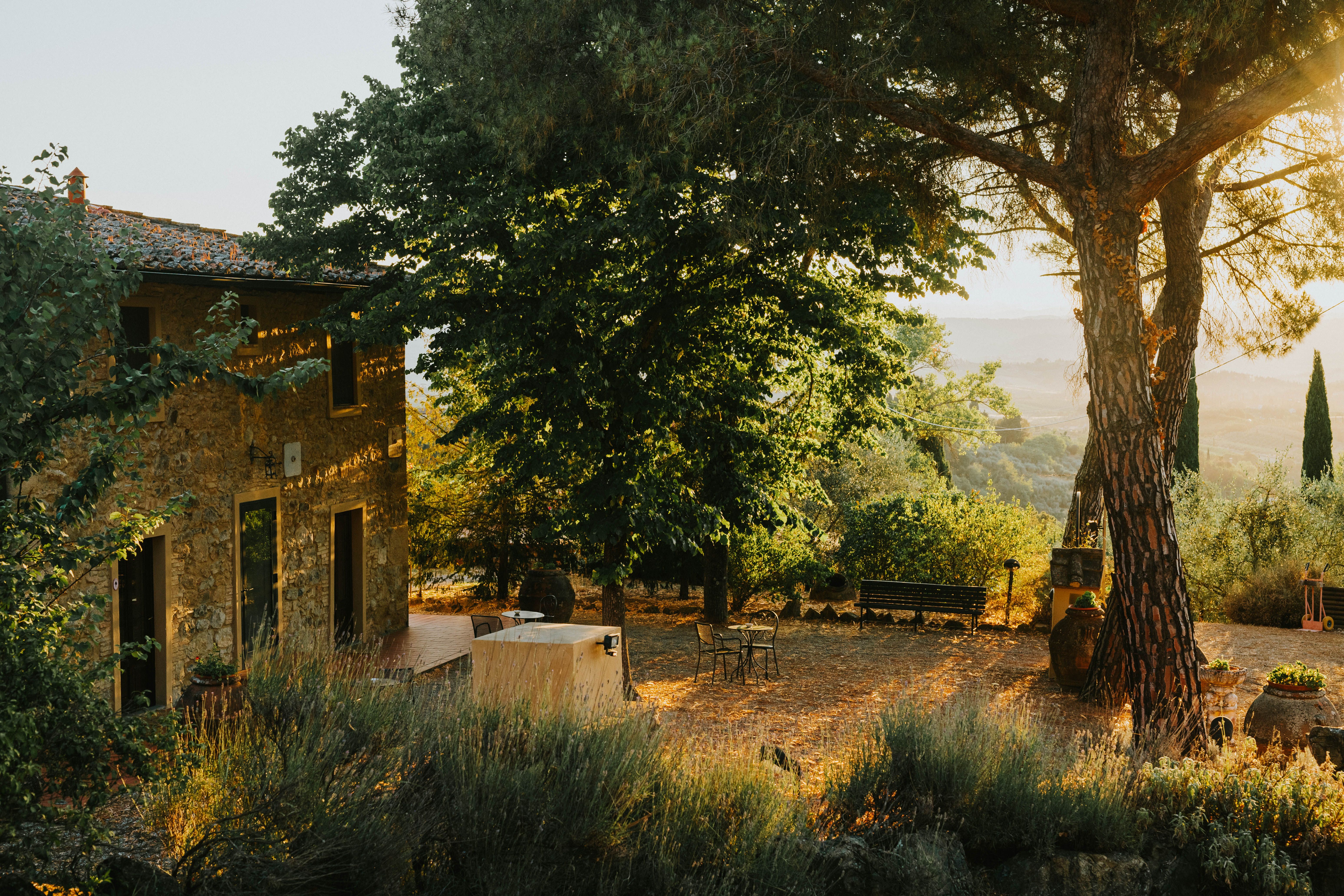 Grandparents, parents, and young children gathered around an outdoor table at a Tuscan farmhouse during golden hour, with vineyard rows visible in the background
