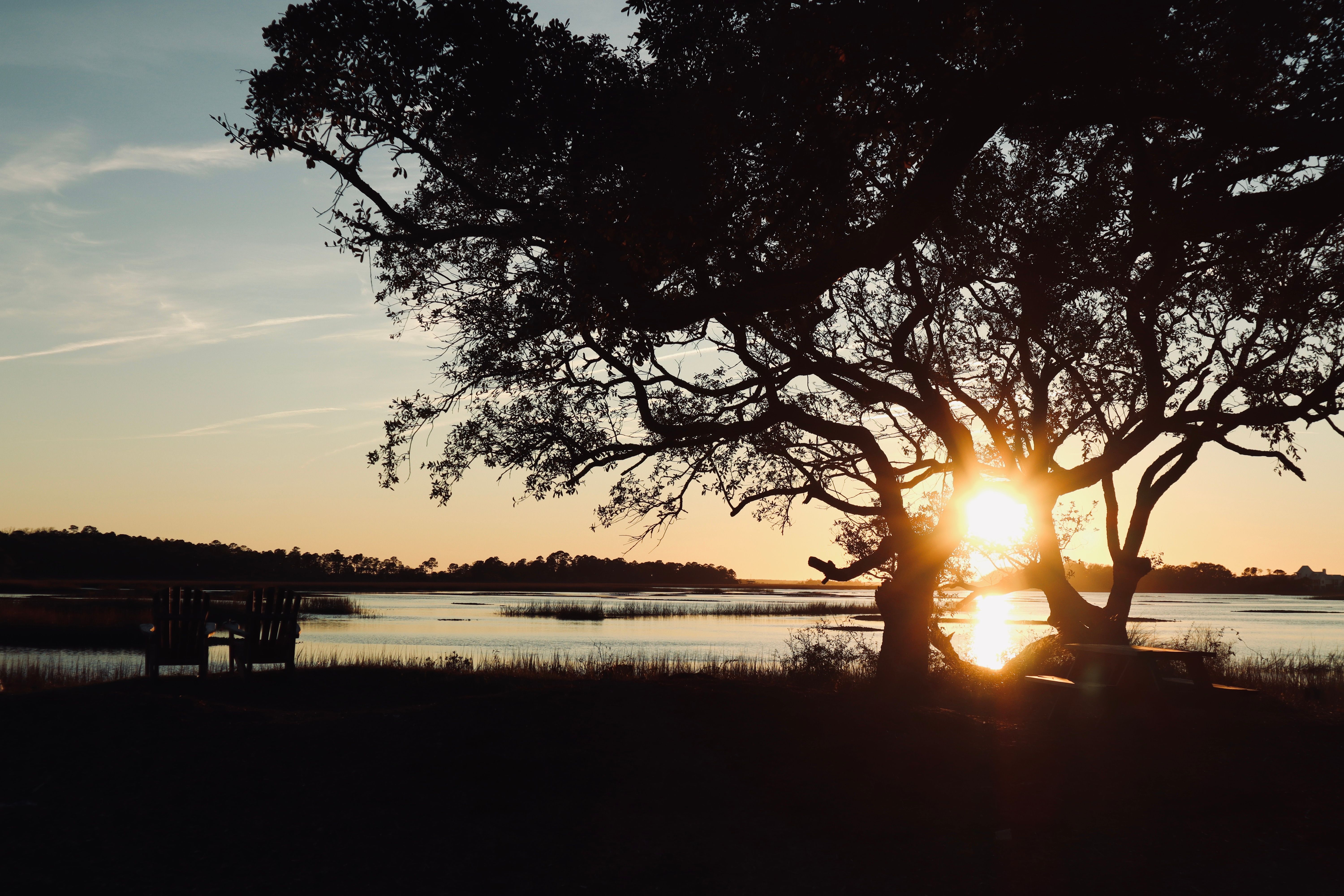 Golden tidal marsh grasses and winding waterways of the South Carolina sea islands at sunset, with a small wooden dock in the foreground