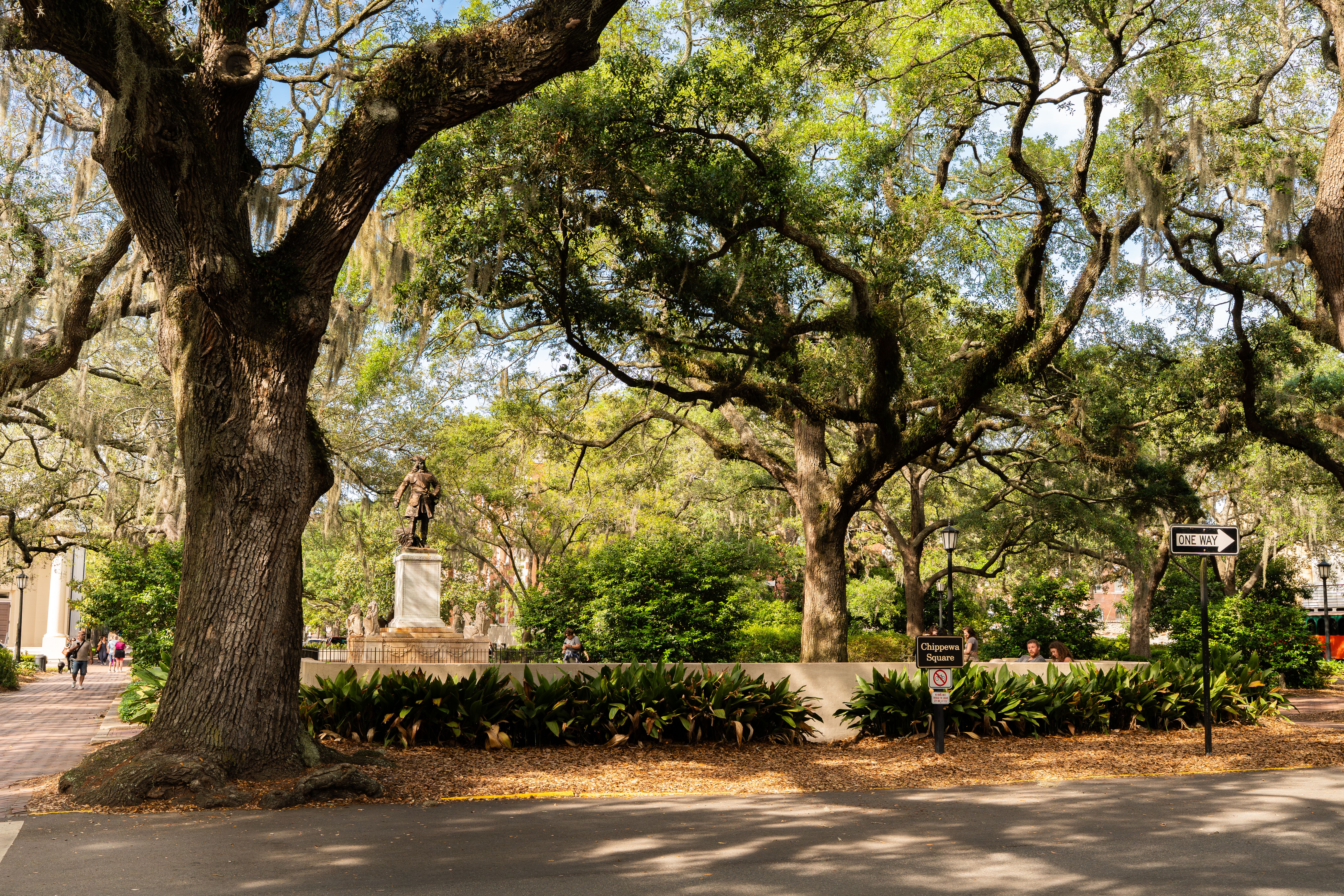 Golden hour light filtering through Spanish moss-draped live oak trees over one of Savannah's historic squares, with antebellum architecture visible in the background