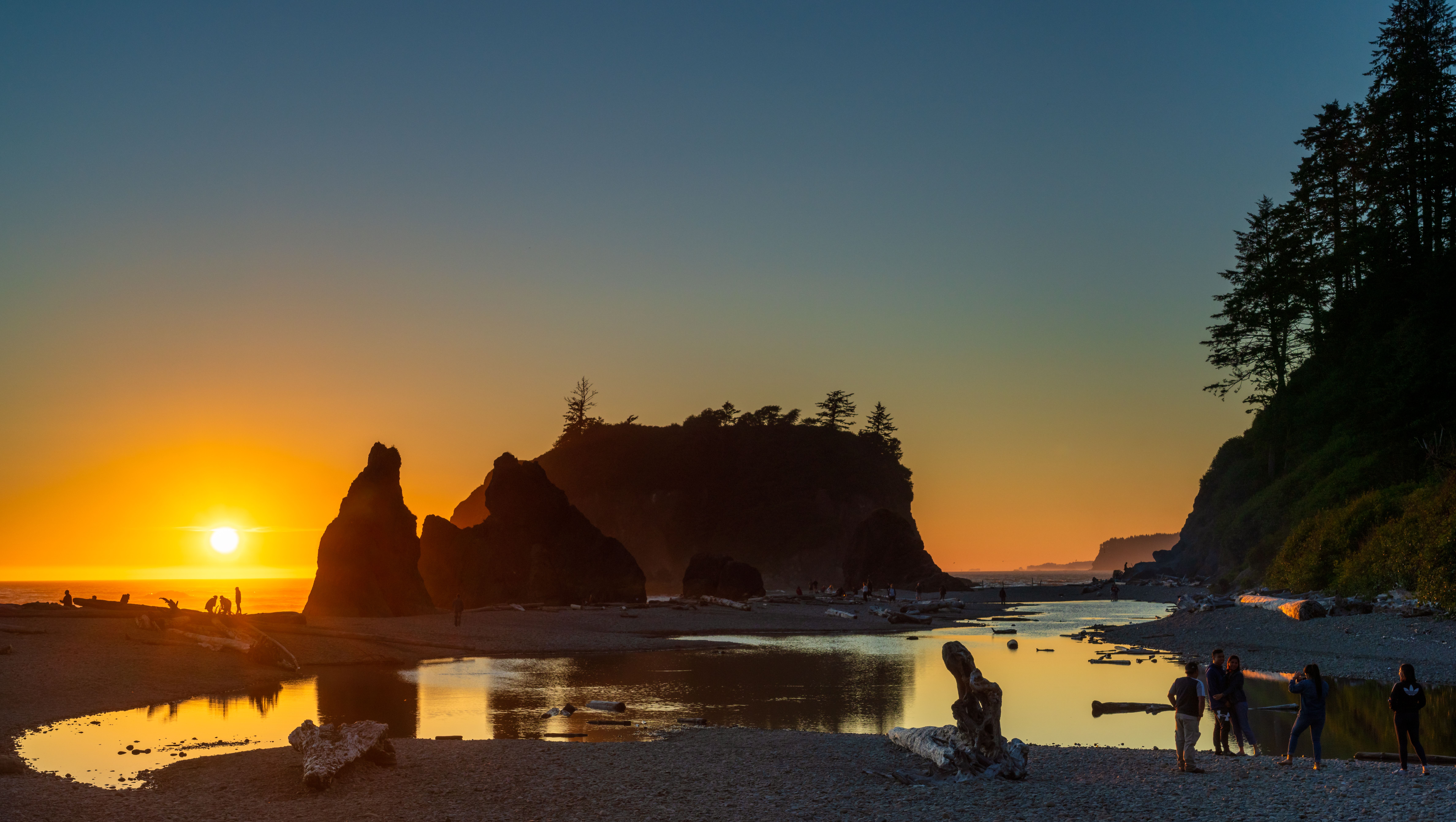 Enormous weathered driftwood logs scattered across Ruby Beach on the Olympic Peninsula, with dramatic sea stacks rising from the Pacific surf at dusk